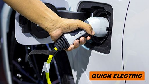 Fast, One Time Service In Oriental Bay